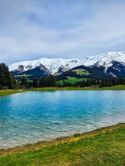 Logement A Megeve Avec Jardin Buitenkant foto