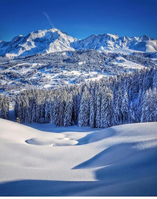 Logement A Megeve Avec Jardin Buitenkant foto